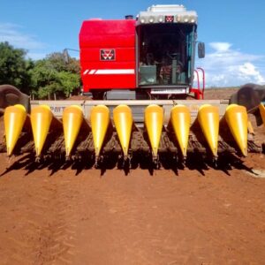 Plataforma de milho TATU PMT 5050/10 Ano: 2016