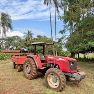 Massey Ferguson 4275 (75 cv) Ano: 2010 + CARRETINHA