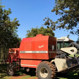 Massey Ferguson 5650 Advanced (mecânica) Ano: 2004